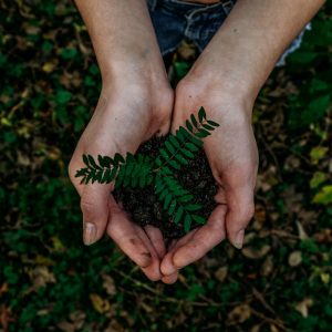 woman holding a plant in her hand