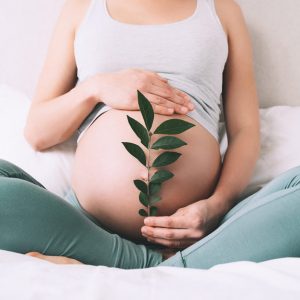 Pregnant woman holds green sprout plant near her belly